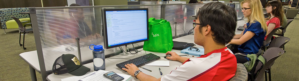 Students sitting looking at computers